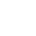 toppg icon