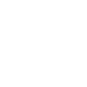 toppg icon