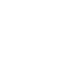 toppg icon