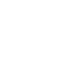 toppg icon